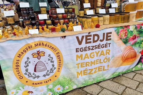 A XVI. Gyulai Mz- s Mzeskalcs Fesztivl mzei, a Gndcs-kertben. Kpek forrsa: dr. Grgnyi Ern polgrmester Facebook-oldala   