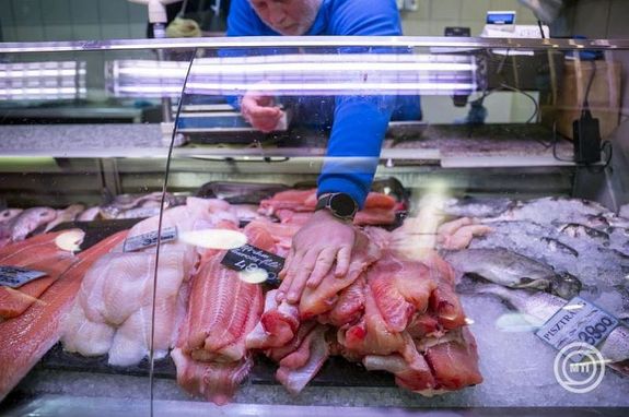  Halknlat a budapesti Kzponti Vrscsarnokban, 2025. december 9-n. Kpek: MTI / Balogh Zoltn   