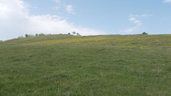  A H�tszegvid�ki Dinoszaurusz Geopark l�tv�nya. K�p: Nicu Farcaș. K�p forr�sa: Wikip�dia