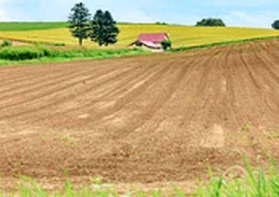 A mez�ber�nyi n� �gy okozott k�rt a nagykamar�si ingatlantulajdonosnak, hogy tudta n�lk�l eladta a lak�h�z�t �s a mellette l�v� sz�nt�j�t. A k�p illusztr�ci�. K�p: Shutterstock   