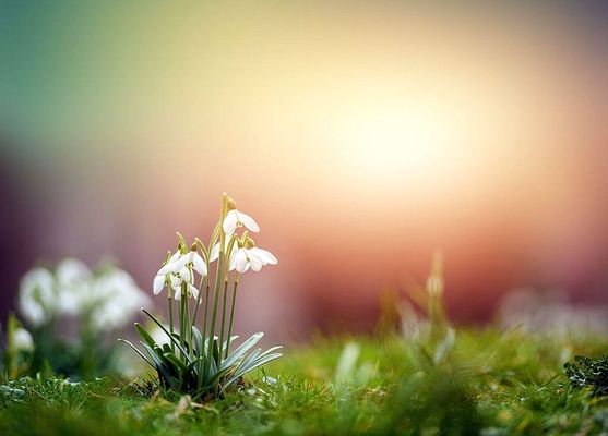  P�nteken, fokozatosan javulnak a l�t�si viszonyok, felh�s id� val�sz�n�, hosszabb-r�videbb napos id�szakokkal. A k�p illusztr�ci�. K�p: Pixabay   