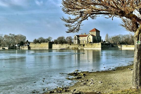 A beavatkoz�s els� �tem�ben, m�rcius v�g�ig, a s�tautak k�zvetlen k�rnyezet�ben �s az erd� bels� ter�letein is elt�vol�tj�k a beteg p�ld�nyokat. A k�p illusztr�ci�. K�p forr�sa: csodalatosmagyarorszag.hu      