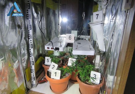 A zugkert�sz f�rfi rosszul hitte, az el�k�sz�letei el�gek, hogy ne bukjon le. K�pek forr�sa: B�k�s V�rmegyei Rend�r-f�kapit�nys�g