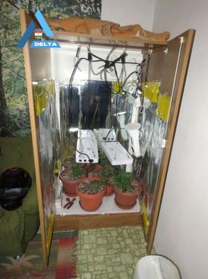 A zugkert�sz f�rfi rosszul hitte, az el�k�sz�letei el�gek, hogy ne bukjon le. K�pek forr�sa: B�k�s V�rmegyei Rend�r-f�kapit�nys�g