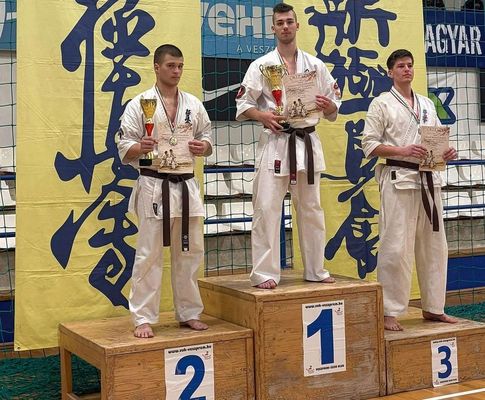 Koll�th Z�t�ny ez�st�rmet szerzett Veszpr�mben, a Kyokushin Karate Magyar Bajnoks�gon. K�pek Forr�sa: Szerz�