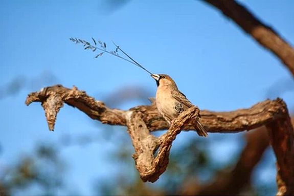 Der�lt, napos, enyhe, tavaszias id� v�rhat� a h�tv�g�n, 15 Celsius-fok k�r�li cs�csh�m�rs�kletekkel. A k�p illusztr�ci�. K�p: Shutterstock   