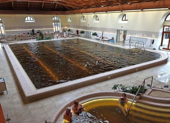  Febru�r 17-�n, �nnep�lyesen �tadt�k a Gyulai V�rf�rd� meg�jult Lovard�j�t. Ezzel lez�rult a Gyulai V�rf�rd� teljes 3 milli�rd forintos fel�j�t�sa. Forr�s: MTI. K�p: MTI / Lehoczky P�ter