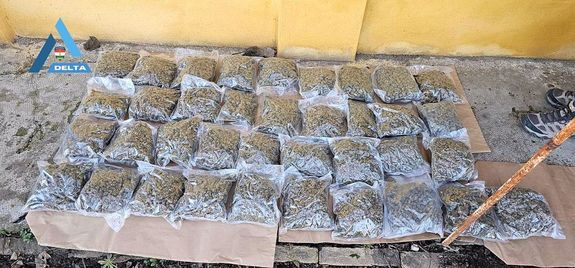 A febru�r 26-i, reggeli rajta�t�s k�pei a medgyesegyh�zi tany�n. K�pek: B�k�s V�rmegyei Rend�r-f�kapit�nys�g   