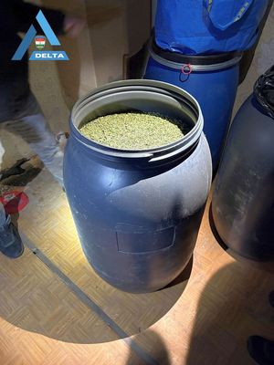 A febru�r 26-i, reggeli rajta�t�s k�pei a medgyesegyh�zi tany�n. K�pek: B�k�s V�rmegyei Rend�r-f�kapit�nys�g   