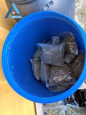 A febru�r 26-i, reggeli rajta�t�s k�pei a medgyesegyh�zi tany�n. K�pek: B�k�s V�rmegyei Rend�r-f�kapit�nys�g   