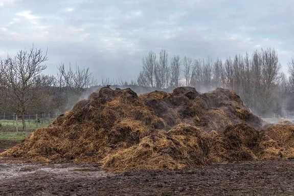  Csabacs�d k�lter�let�n, tany�n, tegnap, d�lel�tt, sz�z n�gyzetm�teres, f�l m�ter magas l�tr�gyakazal sz�le f�st�lt. A k�p illusztr�ci�. K�p: DepositPhotos