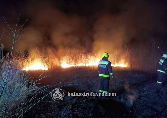 T�z keletkezett Mez�ber�nyben, a R�zsa utca k�zel�ben, tegnap este. K�p forr�sa: B�k�s V�rmegyei Katasztr�fav�delmi Igazgat�s�g   