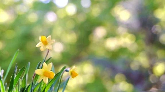 A h�t elej�n, a borult, felh�s, szeles id�ben n� az es�, z�por es�lye is. A k�p illusztr�ci�. K�p: Shutterstock