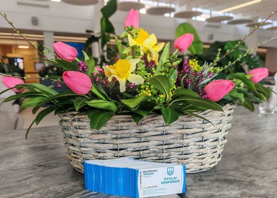 Tegnap, a Gyulai V�rf�rd�ben, sajt�t�j�koztat� keret�ben adtak �t k�tezer f�rd�jegyet a B�k�s v�rmegyei v�rad�k �nzetlens�g�nek megk�sz�n�s�re. K�pek forr�sa: Gyulai V�rf�rd� Facebook-oldala