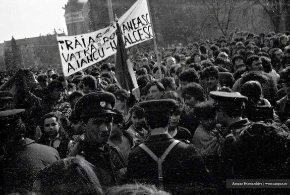 A v�res, fekete m�rcius k�pei, Marosv�s�rhelyen. K�pek: www.azopan.ro / kronika.ro  