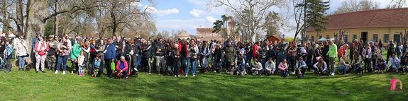 K�pek a gyulai, V. Jubileumi Tacsk�tal�lkoz�r�l. K�pek forr�sa: Gyulai Alm�sy-kast�ly L�togat�k�zpont Facebook-oldala   