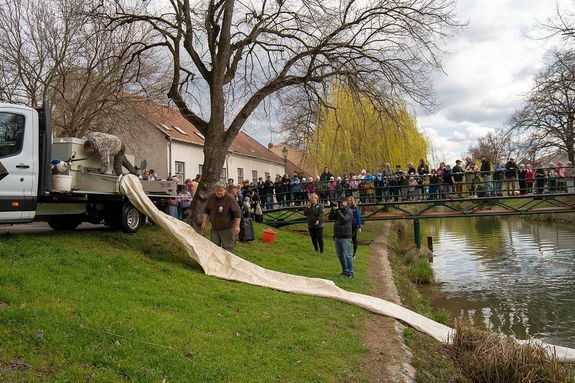  K�pek a K�VIZIG gyulai, v�z vil�gnapi rendezv�ny�r�l. K�pek: K�r�s-vid�ki V�z�gyi Igazgat�s�g Facebook-oldala