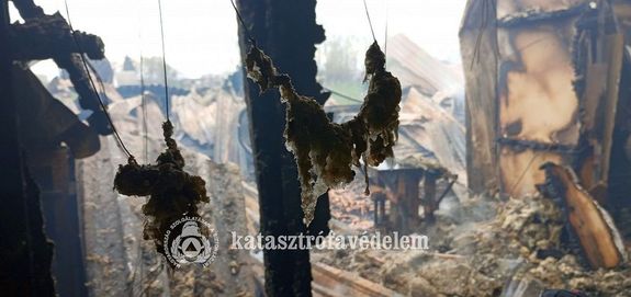  K�pek a vas�rnap d�lut�ni, gyulai t�zv�szr�l, a B�ke utcai asztalosm�helyben. K�pek Forr�sa: B�k�s V�rmegyei Katasztr�fav�delmi Igazgat�s�g   