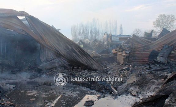  K�pek a vas�rnap d�lut�ni, gyulai t�zv�szr�l, a B�ke utcai asztalosm�helyben. K�pek Forr�sa: B�k�s V�rmegyei Katasztr�fav�delmi Igazgat�s�g   