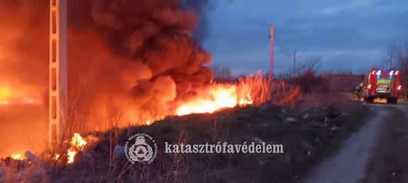 Szabadt�ri t�zek adtak munk�t a t�zolt�knak a h�tv�g�n, B�k�s v�rmegy�ben. K�pek forr�sa: B�k�s V�rmegyei Katasztr�fav�delmi Igazgat�s�g