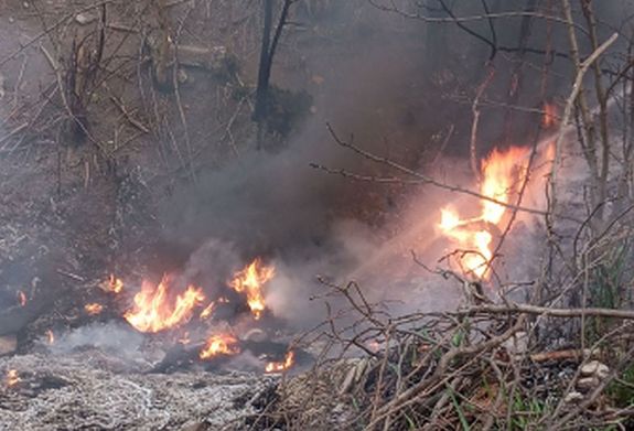 A gyulai, hivatásos tűzoltók vízsugarakkal és kéziszerszámokkal körülhatárolták, majd eloltották a tüzet. Képek forrása: Békés Vármegyei Katasztrófavédelmi Igazgatóság A gyulai, hivatásos tűzoltók vízsugarakkal és kéziszerszámokkal körülhatárolták, majd eloltották a tüzet. Képek forrása: Békés Vármegyei Katasztrófavédelmi Igazgatóság