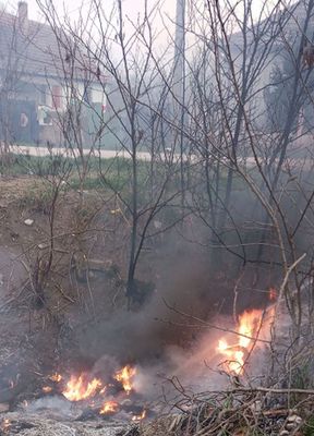 A gyulai, hivatásos tűzoltók vízsugarakkal és kéziszerszámokkal körülhatárolták, majd eloltották a tüzet. Képek forrása: Békés Vármegyei Katasztrófavédelmi Igazgatóság A gyulai, hivatásos tűzoltók vízsugarakkal és kéziszerszámokkal körülhatárolták, majd eloltották a tüzet. Képek forrása: Békés Vármegyei Katasztrófavédelmi Igazgatóság
