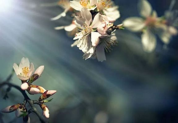 A h�m�rs�klet cs�cs�rt�ke a h�t k�zep�n m�r csak 10 �s 15 Celsius-fok k�z�tt alakul, �s visszat�rnek a hajnali fagyok. A h�t v�g�n, megn� a csapad�k es�lye is. A k�p illusztr�ci�. K�p: DepositPhotos   