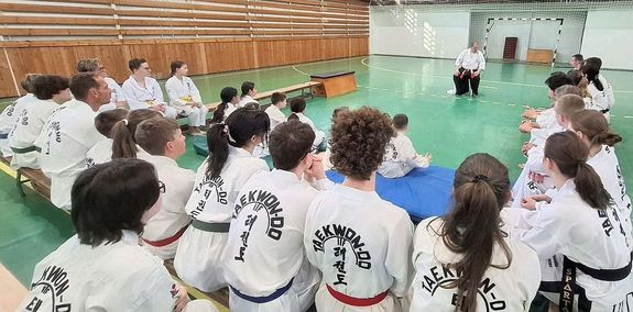 K�p a medgyesegyh�zi Sp�rta ITF Taekwon-do SE gerend�si edz�term�ben tartott, rendhagy� esem�nyr�l. K�p forr�sa: Szerz�