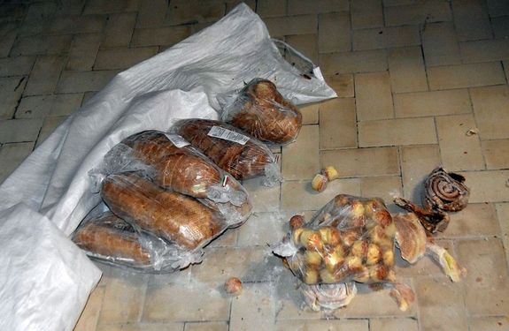 A munk�ba �rkez� dolgoz�kat ez a l�tv�ny fogadta a p�ks�gben. K�p forr�sa: B�k�s v�rmegyei rend�rs�g Facebook-oldala