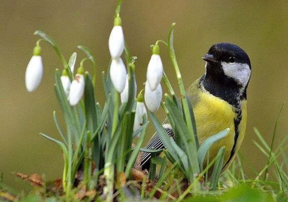 Sz�l, felh�k �s vas�rnap, es� is el�fordulhat. A k�p illusztr�ci�. K�p: Pinterest