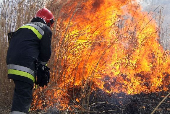  �rokparti n�das �gett szombaton, d�lut�n, Elek k�lter�let�n. A k�p illusztr�ci�. K�p forr�sa: BM Orsz�gos Katasztr�fav�delmi F�igazgat�s�g   