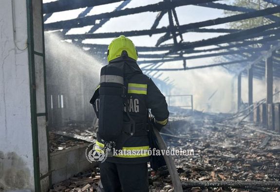 T�z puszt�tott az �llattart� telepen, tegnap, d�lut�n, B�k�scsaba k�lter�let�n. K�pek forr�sa: B�k�s V�rmegyei Katasztr�fav�delmi Igazgat�s�g