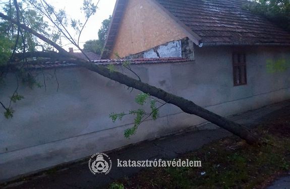 Az er�s sz�l t�bb helysz�nen, nagy m�ret� f�kat d�nt�tt az utakra, j�rd�kra, B�k�s v�rmegy�ben. K�p forr�sa: B�k�s V�rmegyei Katasztr�fav�delmi Igazgat�s�g