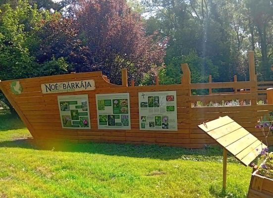 No� b�rk�ja a Szegedi Tudom�nyegyetem f�v�szkertj�ben. K�p: Szegedi Tudom�nyegyetem F�v�szkert Facebook-oldala   