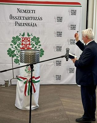P�nteken, d�lut�n, elk�sz�lt a Nemzeti �sszetartoz�s P�link�ja a Gyulai Alm�sy-kast�ly L�togat�k�zpont Stef�nia-sz�rny�ban. K�pek forr�sa: dr. G�rg�nyi Ern� polg�rmester Facebook-oldala