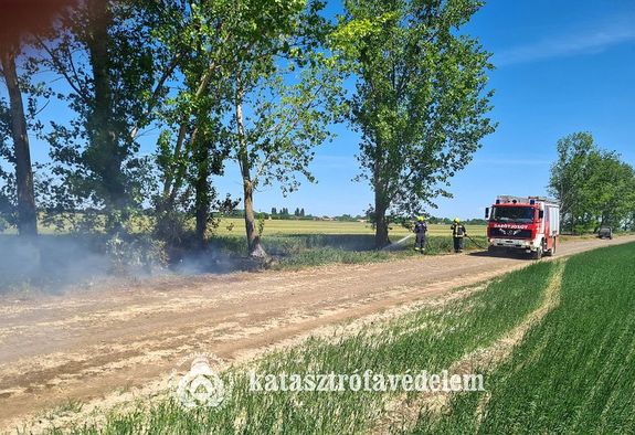 K�p: Ny�rfasz�sz gyulladt ki cs�t�rt�k�n, d�lel�tt, Magyarb�nhegyes k�lter�let�n. K�p forr�sa: B�k�s V�rmegyei Katasztr�fav�delmi Igazgat�s�g)   