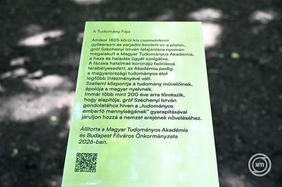 A Tudom�ny F�ja c�met kapta a margitszigeti �splat�n Budapest F�v�ros �nkorm�nyzata �s a Magyar Tudom�nyos Akad�mia (MTA) k�z�s kezdem�nyez�s�re, h�tf�n. K�pek: MTI / M�th� Zolt�n      