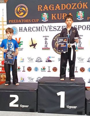 A dobog� tetej�n Litauszki Dominik, a Kondorosi Kick-box Egyes�let versenyz�je. K�p forr�sa: Szerz�