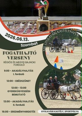 A XIII. Gyulav�ri Kast�lynapok plak�tjai. K�pek forr�sa: Szervez�k   