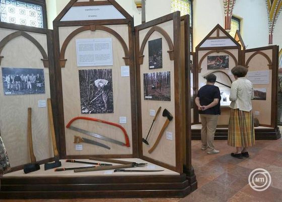 Az erd� a j�v�nk z�loga c�mmel, szerd�n, megny�lt Budapesten, a Magyar Mez�gazdas�gi M�zeum meg�jult, reprezentat�v, �lland� erd�szeti ki�ll�t�sa. K�pek: MTI / Bruz�k No�mi   