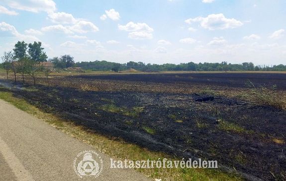 Sz�raz f� �s aljn�v�nyzet �gett tegnap, kora d�lut�n, B�lmegyeren. K�p forr�sa: B�k�s V�rmegyei Katasztr�fav�delmi Igazgat�s�g)