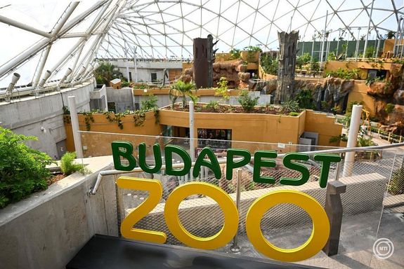 K�pek a 2026. j�nius 30-�n megny�lt budapesti Biod�mr�l. K�pek: MTI / Purger Tam�s