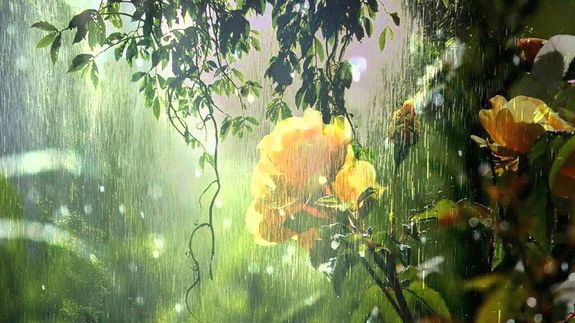 A sok naps�t�st olykor felh�zet zavarja, de z�por, zivatar ink�bb csak a h�t elej�n fordulhat el�. A k�p illusztr�ci�. K�p: YouTube