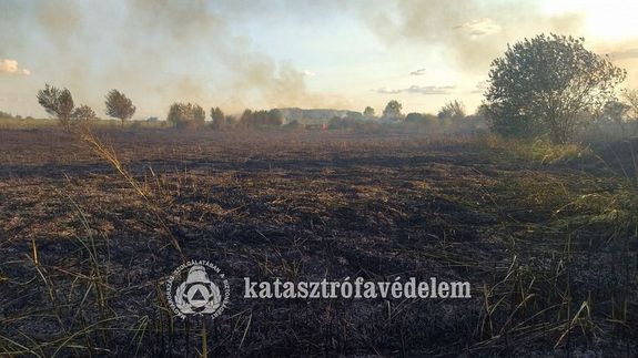 B�zatarl�, �s f�s ter�let gyulladt ki vas�rnap, este, Szarvas k�lter�let�n. K�p forr�sa: B�k�s V�rmegyei Katasztr�fav�delmi Igazgat�s�g