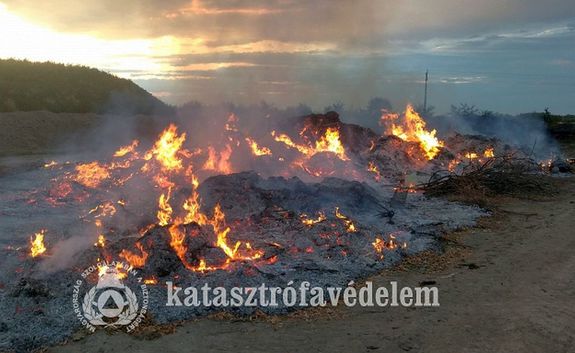 �sszehordott gallyak �s falevelek �gtek tegnap, hajnalban, Mez�hegyes k�lter�let�n. K�p forr�sa: B�k�s V�rmegyei Katasztr�fav�delmi Igazgat�s�g   