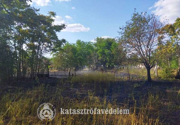 Sz�raz n�v�nyzet gyulladt ki gyulladt ki kedden, d�lut�n, G�doroson, egy h�z kertj�ben. K�p forr�sa: B�k�s V�rmegyei Katasztr�fav�delmi Igazgat�s�g      
