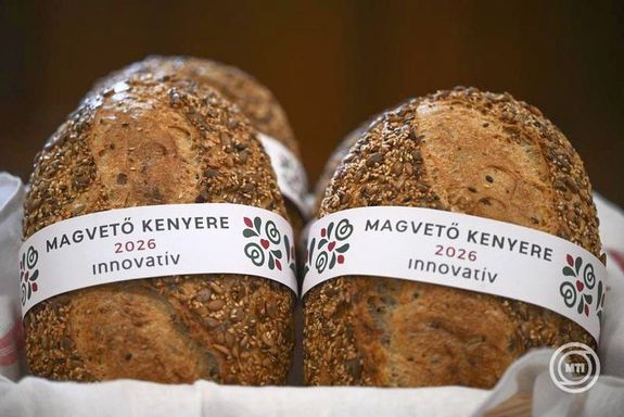A Magvet� keny�r. K�p: MTI / Bodn�r Bogl�rka   