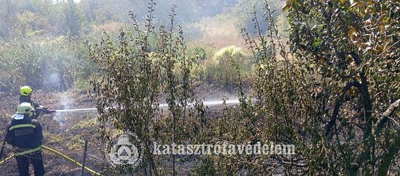 Gaz �s boz�tos �gett vas�rnap, d�lel�tt, Sarkadon, a Szalontai �ton. K�p forr�sa: B�k�s V�rmegyei Katasztr�fav�delmi Igazgat�s�g