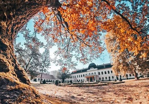 Gyul�n, az Alm�sy-kast�lyban tartja XXVII. Orsz�gos T�rt�n�sz Muzeol�gus Konferenci�j�t szeptember 16-18. k�z�tt, a Magyar M�zeumi T�rt�n�sz T�rsulat. K�p forr�sa: Gyulai Alm�sy-kast�ly L�togat�k�zpont Facebook-oldala