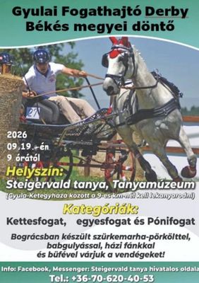  K�p1-2: A Gyulai Fogathajt� Derby plak�tjai. K�pek: Szervez�k